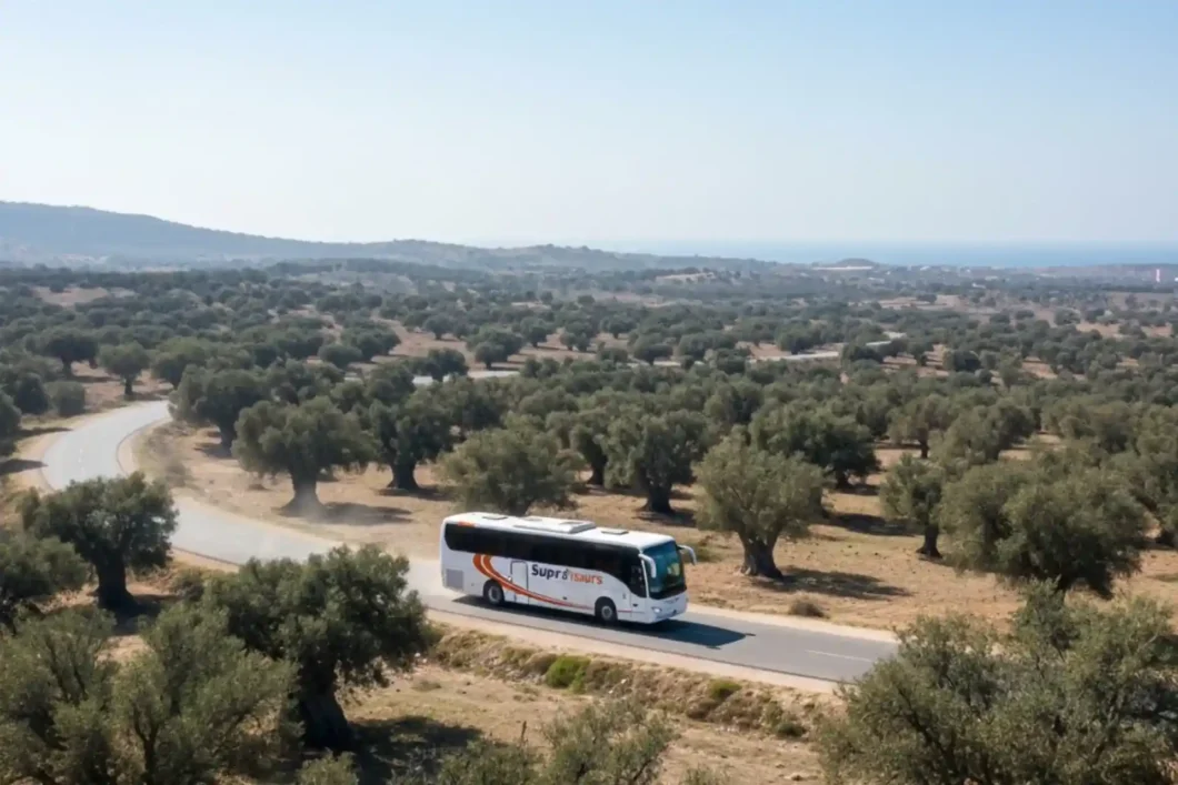 How to Get from Marrakech to Essaouira